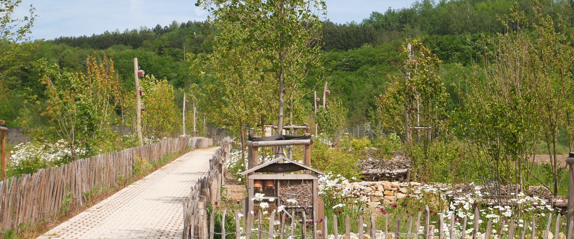 Maîtrise d&rsquo;œuvre pour l&rsquo;aménagement du site de Micheville