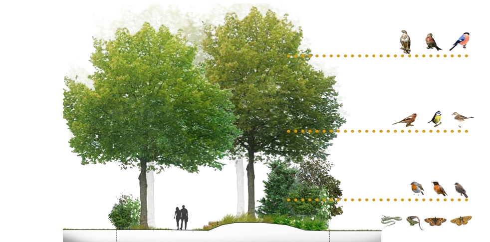 Maîtrise d'œuvre pour l'aménagement du site de Micheville